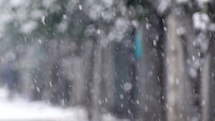 寒冬腊月雪花飞扬