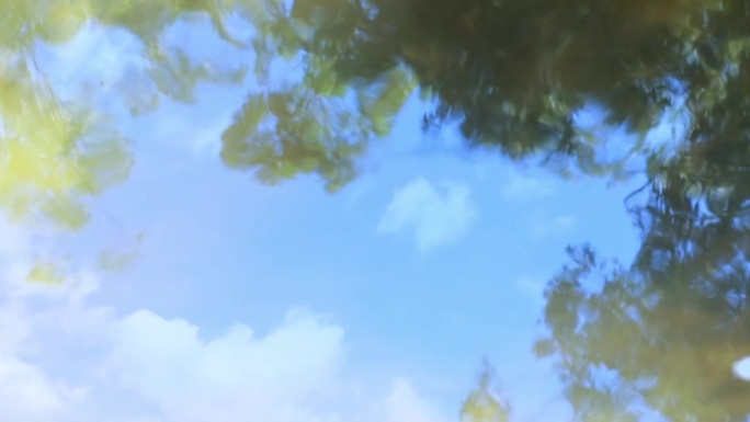 水中倒影树枝蓝天白云