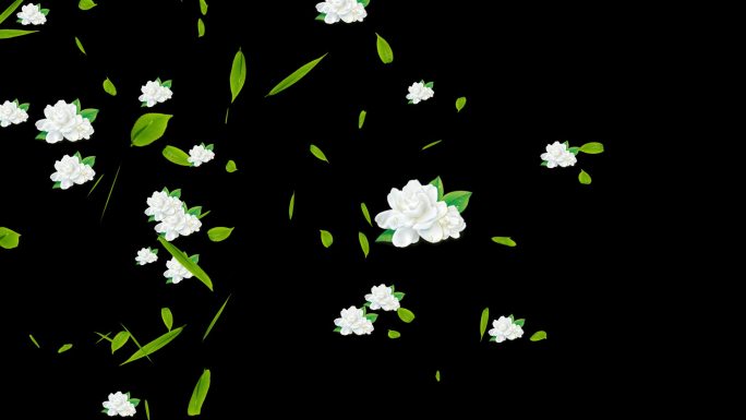 茉莉花花朵绿叶青茶飘过横屏