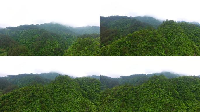 4K航拍可商用农村森林云雾2组51秒