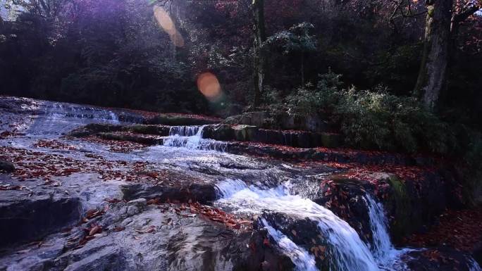 云南小草坝瀑布流水河流红叶谷红叶林