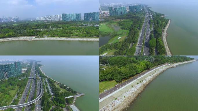 深圳红树林、深圳湾公园、海边栈道