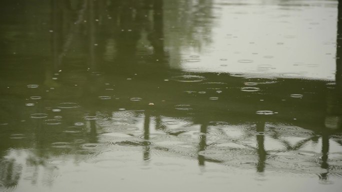 江苏常州淹城春秋乐园烟雨荷塘