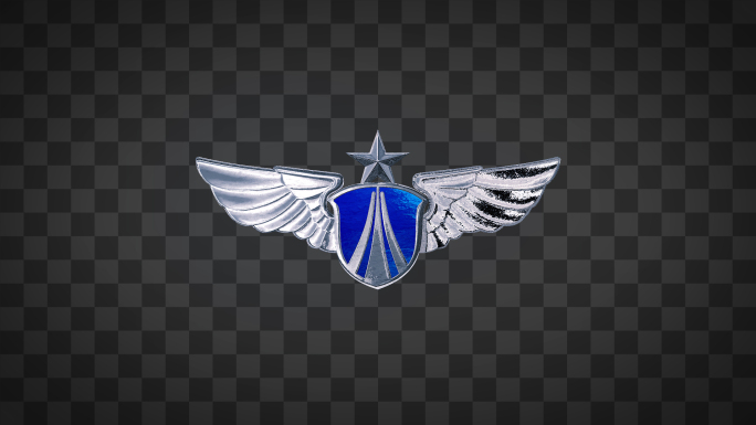 空军标志徽章角标循环alpha