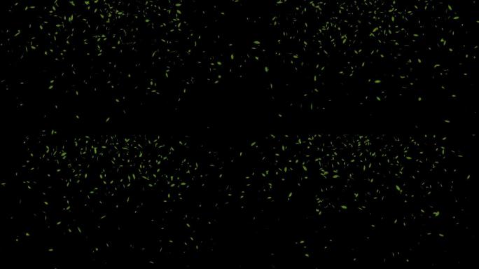 无限循环带透明通道树叶飘落