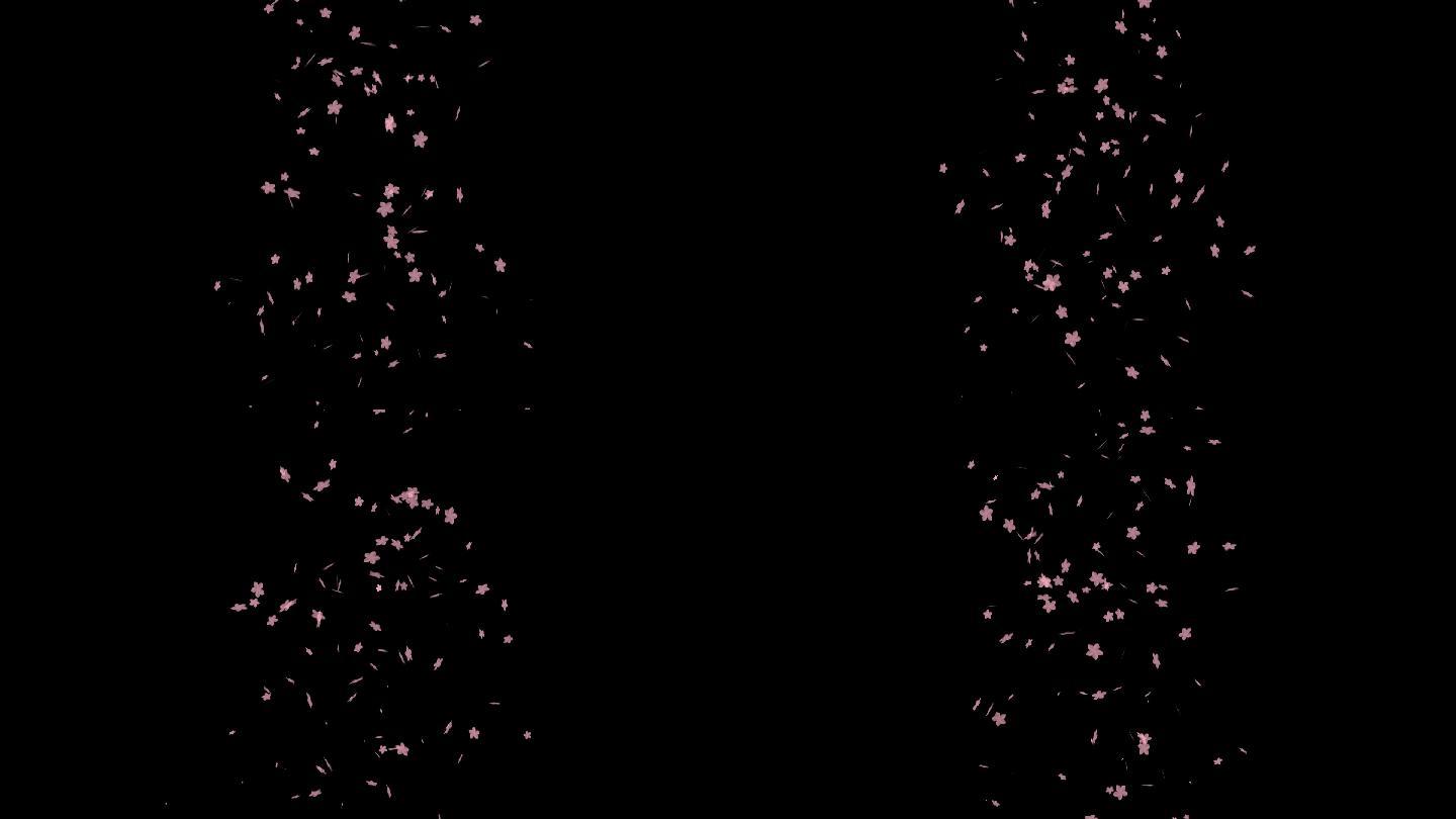 无限循环带透明通道粉色花瓣飘落