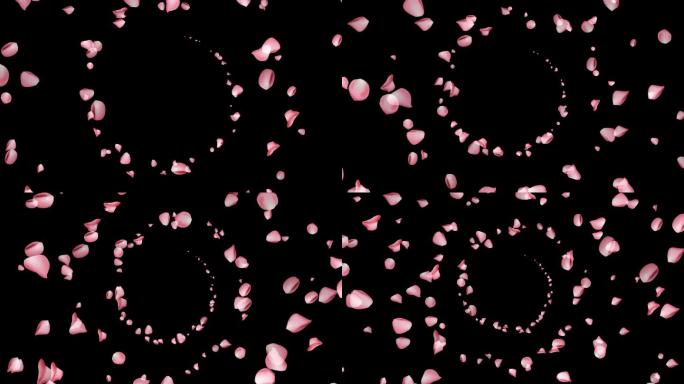 互动漩涡玫瑰花瓣—透明通道