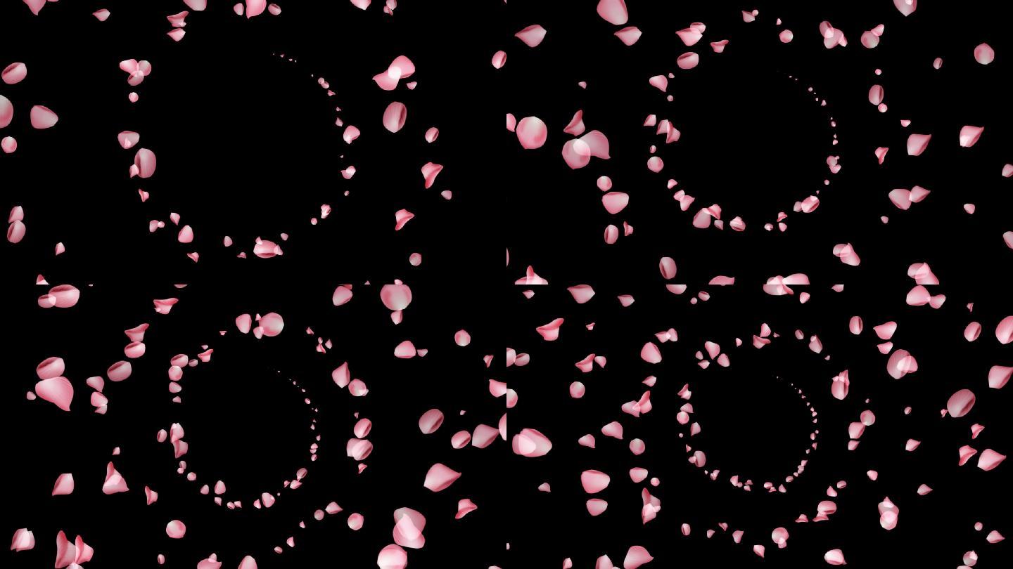 互动漩涡玫瑰花瓣—透明通道