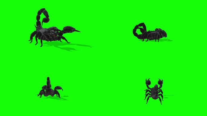 毒蝎子绿幕抠像素材