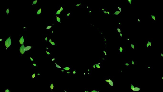 互动漩涡绿叶茶叶—透明通道