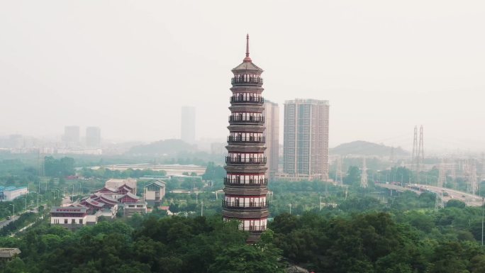 广州景点琶洲塔
