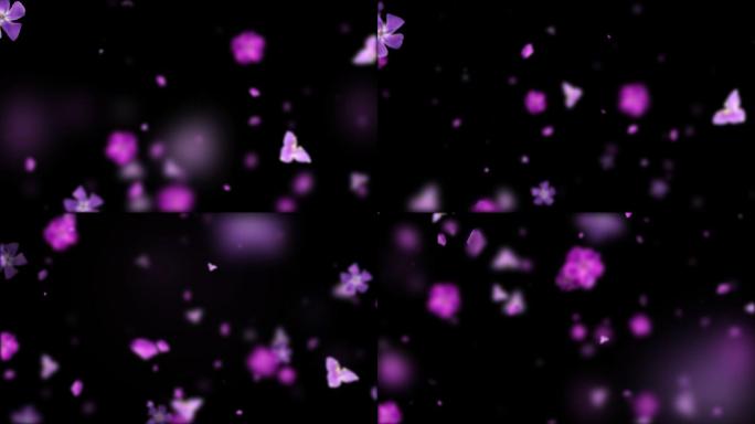 无缝循环紫色花-alpha