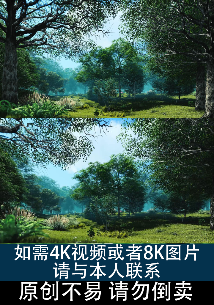 小清新春天森林