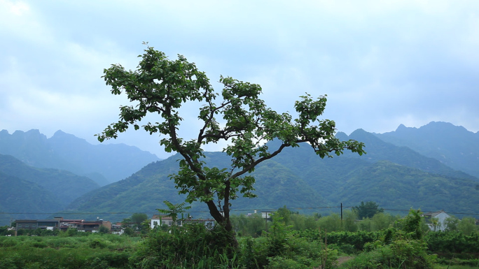 山间山泉瀑布小溪