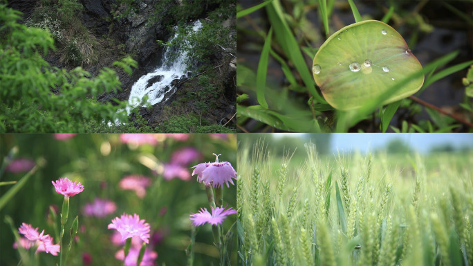 山间山泉瀑布小溪