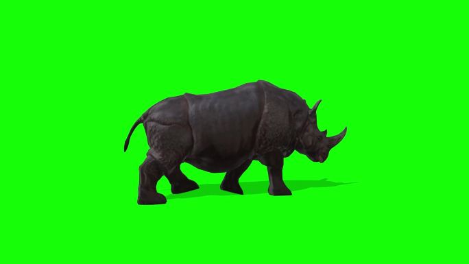 犀牛绿幕抠像素材
