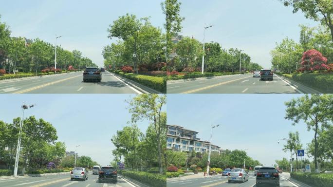 行车视角道路两侧绿化风景开车第一视角开车