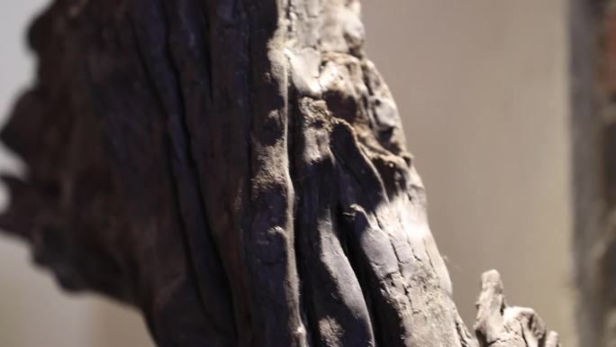 非遗传统技艺北碚木雕作品展示