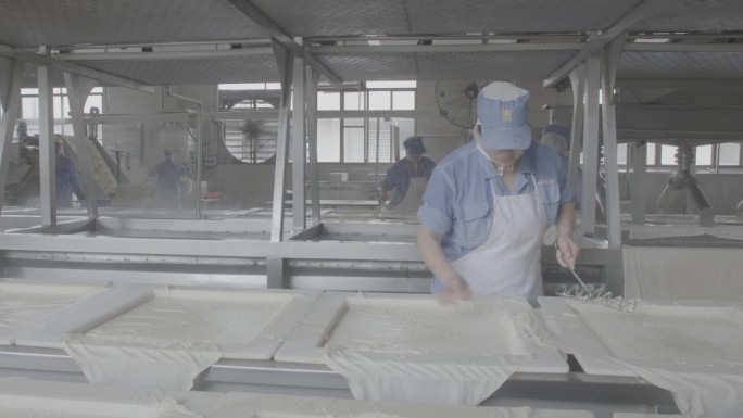 现代化工艺流程制作—豆腐干工艺