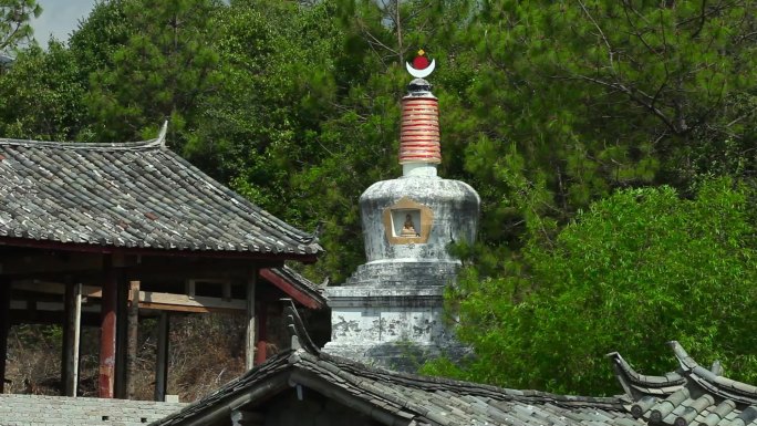 丽江观音峡瀑布水潭野花锦鲤