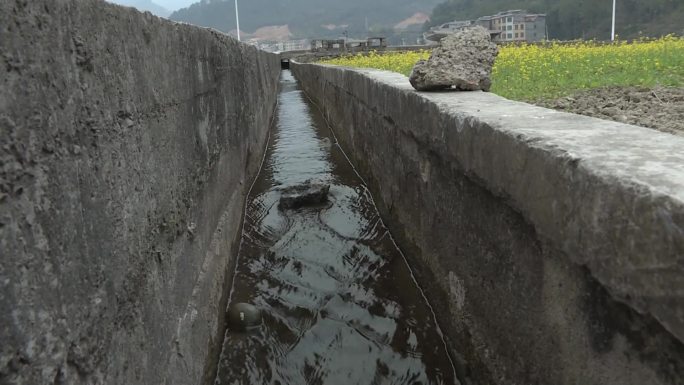 渠道水渠浇地灌溉油菜花