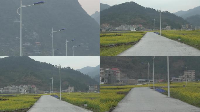 新农村新建设改造工程路灯马路