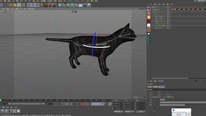 11只不同品种带绑定的C4D猫