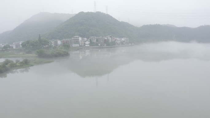 下涯湿地