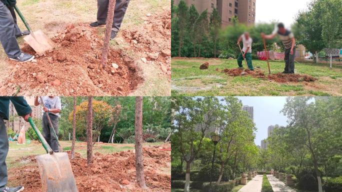 4K植树种树树木小区绿化景观物业劳动