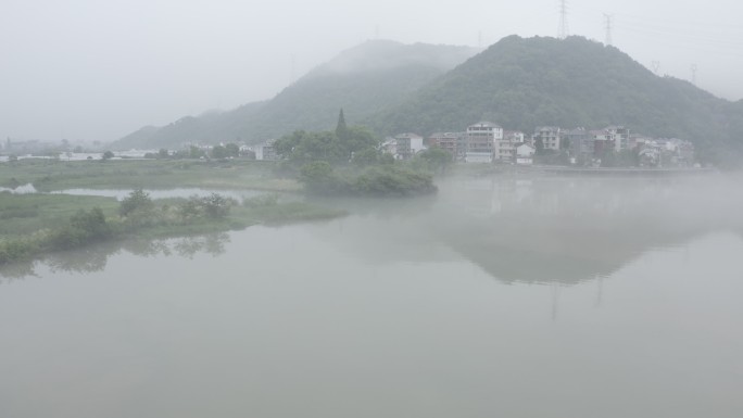 下涯湿地