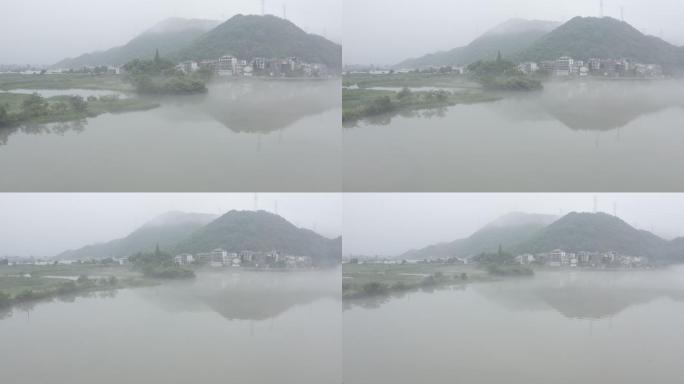 下涯湿地