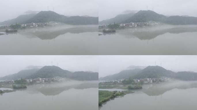 下涯湿地