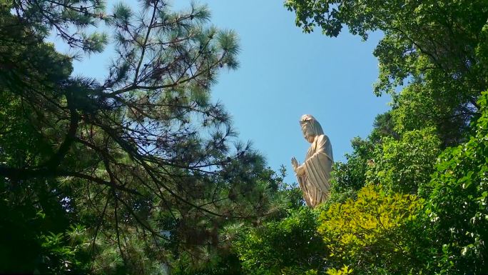 观世音佛像视频浙江舟山市普陀山南海观音