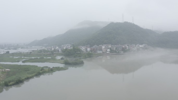 下涯湿地