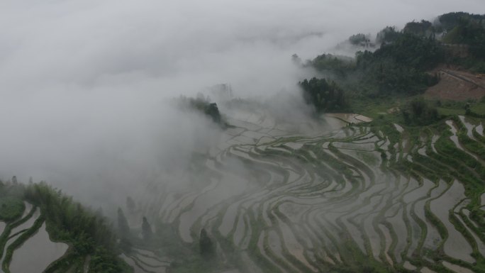 云和梯田