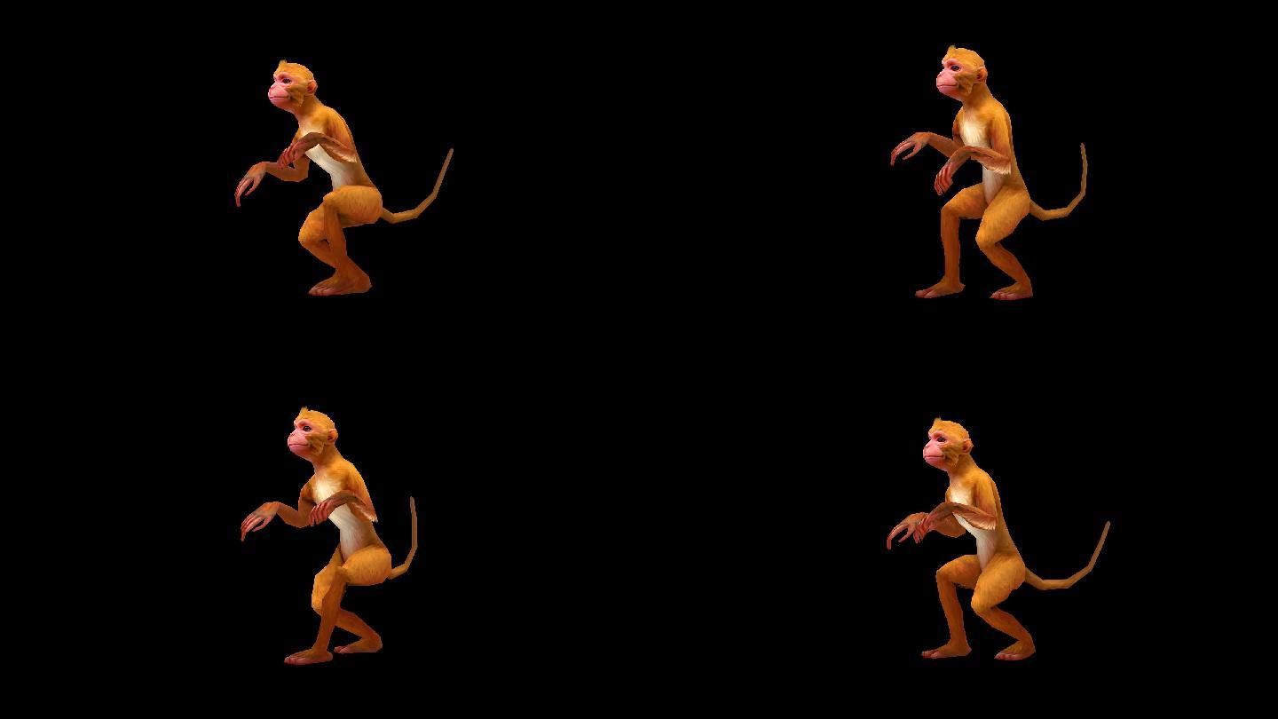 猴子走路循环_1920X1080_高清视频素材下载(编号:6245163)_影视包装_光厂(VJ师网) www.vjshi.com