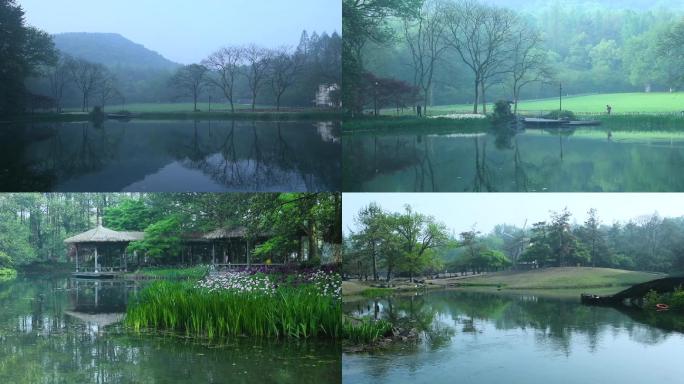 杭州太子湾春天早上雾气空镜头