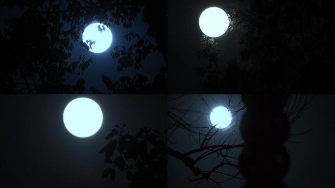 十五的月亮延时拍摄