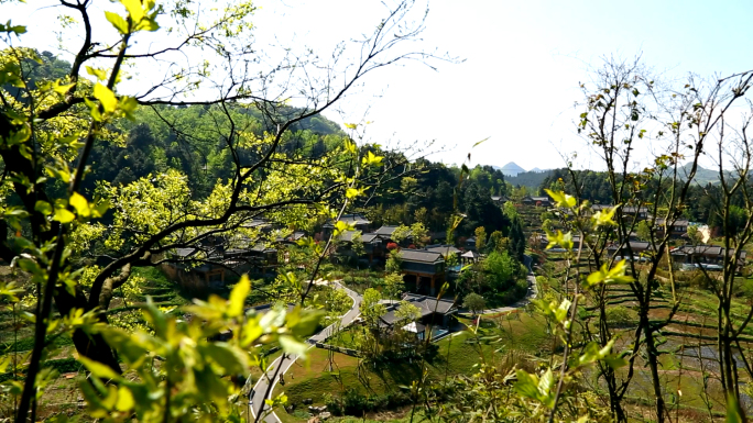 美丽乡村旅游风景