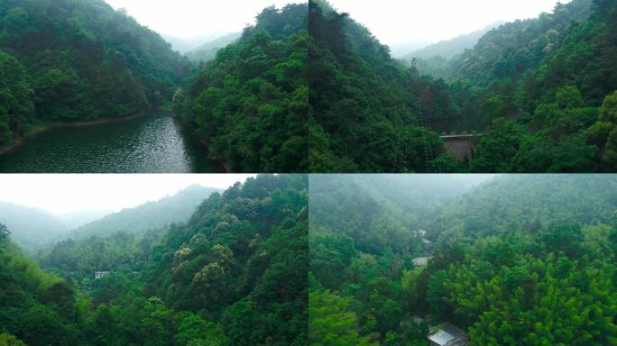 韶山滴水洞景区山体绿化01