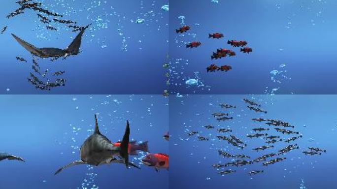 海底世界各种鱼群（01）-超宽屏