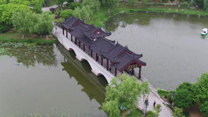悟2双控航拍武汉沙湖公园湿地湖中亭雁桥