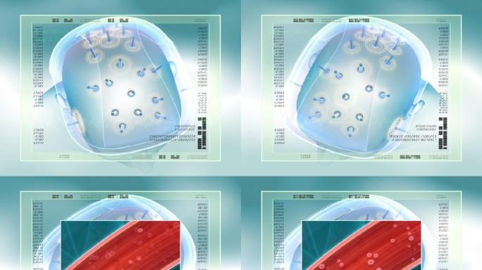 医学医疗大脑医学演示医学动画分