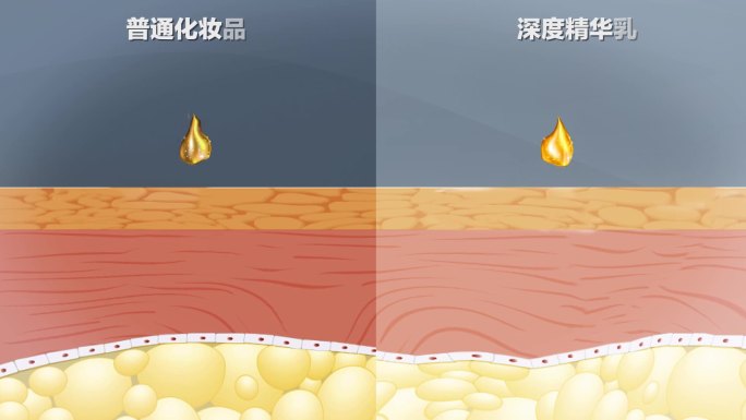 化妆品作用机理对比模板