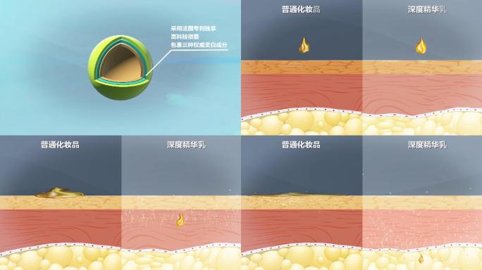 化妆品作用机理对比模板