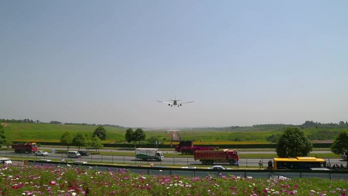 原创成都空港花田飞机飞过头顶超长合集