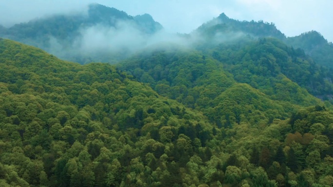 秦岭木王云雾缭绕