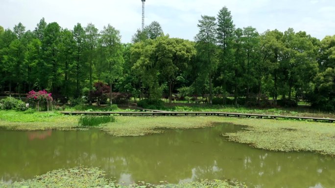 航拍植物园（东湖）