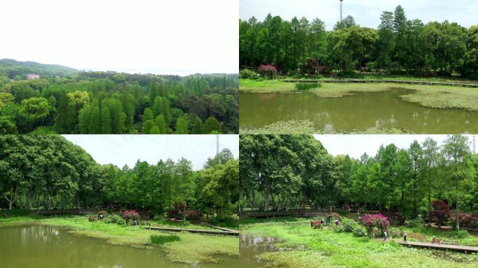 航拍植物园（东湖）