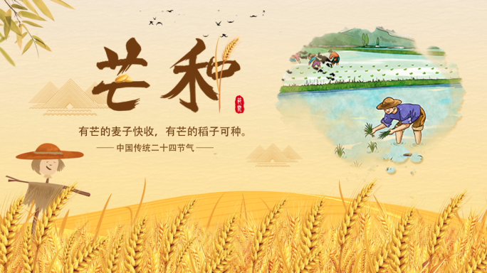 芒种二十四节气模板